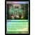 Naturalisation Foil