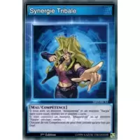 Synergie Tribale