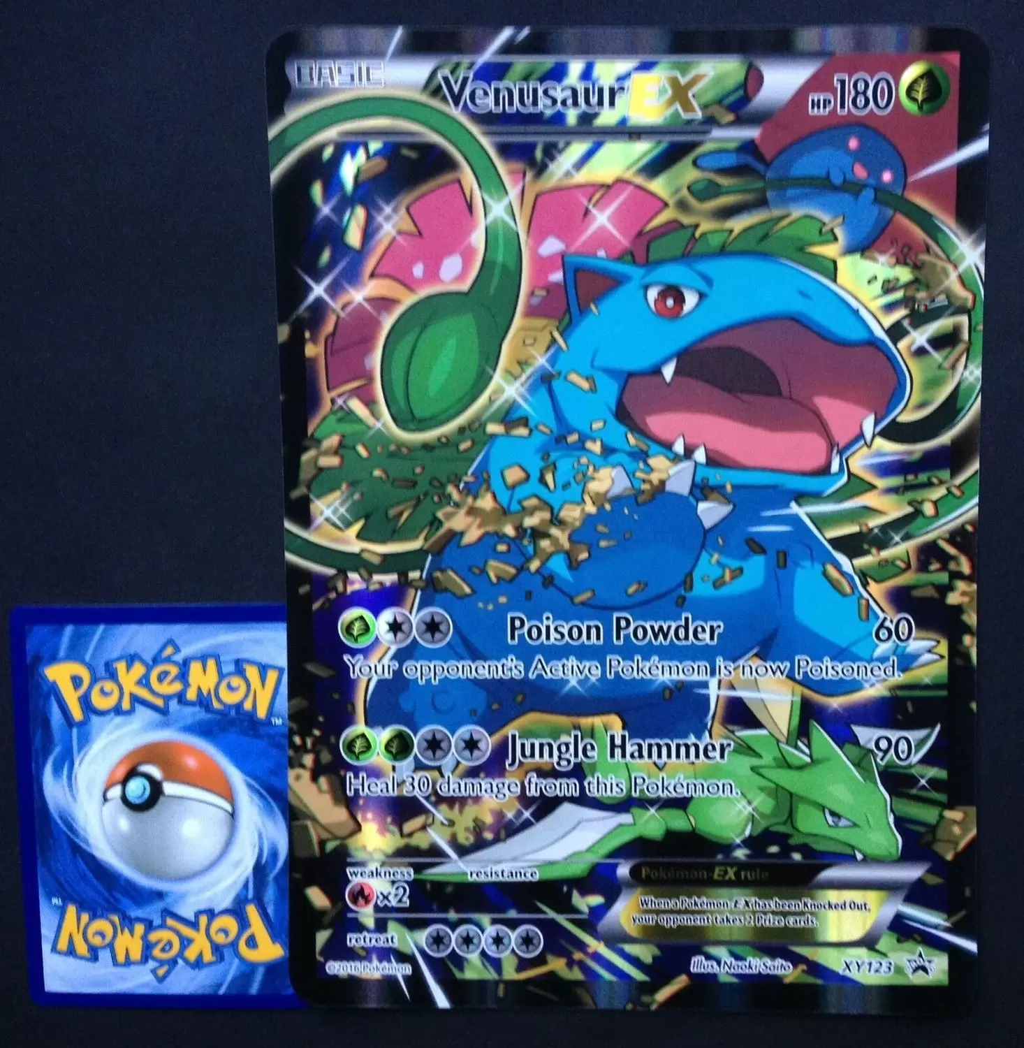 JUMBO Cards XXL - Venusaur EX - Jumbo