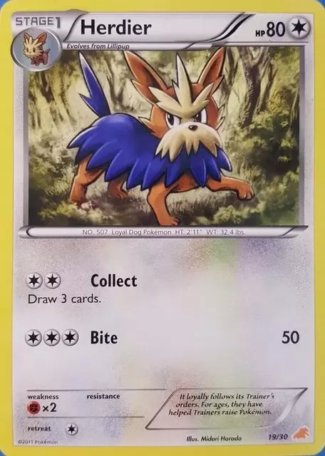 B&W Trainer Kit - Excadrill Half Deck - Herdier