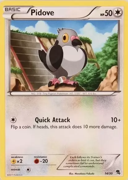 B&W Trainer Kit - Zoroark Half Deck - Pidove