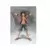 Monkey D. Luffy - New World Metalic Color Version