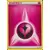 XY Trainer Kit - Sylveon Half Deck - Fairy Energy