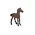 Cheval Pur Sang Anglais - Poulain