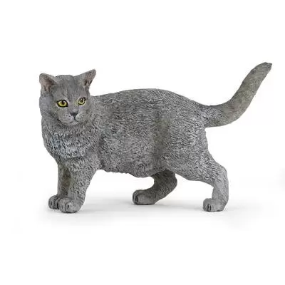 PAPO - Chartreux