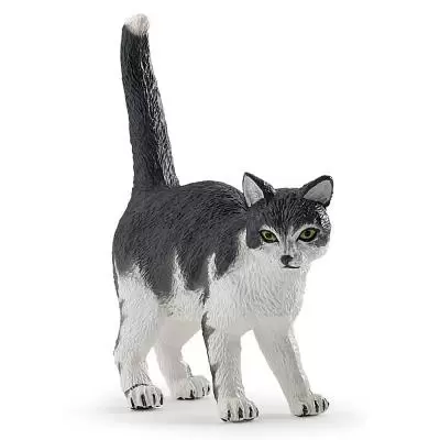 PAPO - Chat noir et blanc