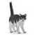 PAPO - Chat noir et blanc