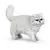 Chat persan