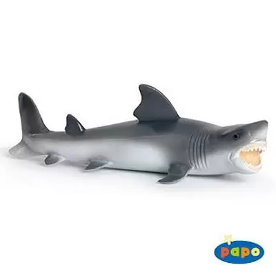 PAPO - Requin