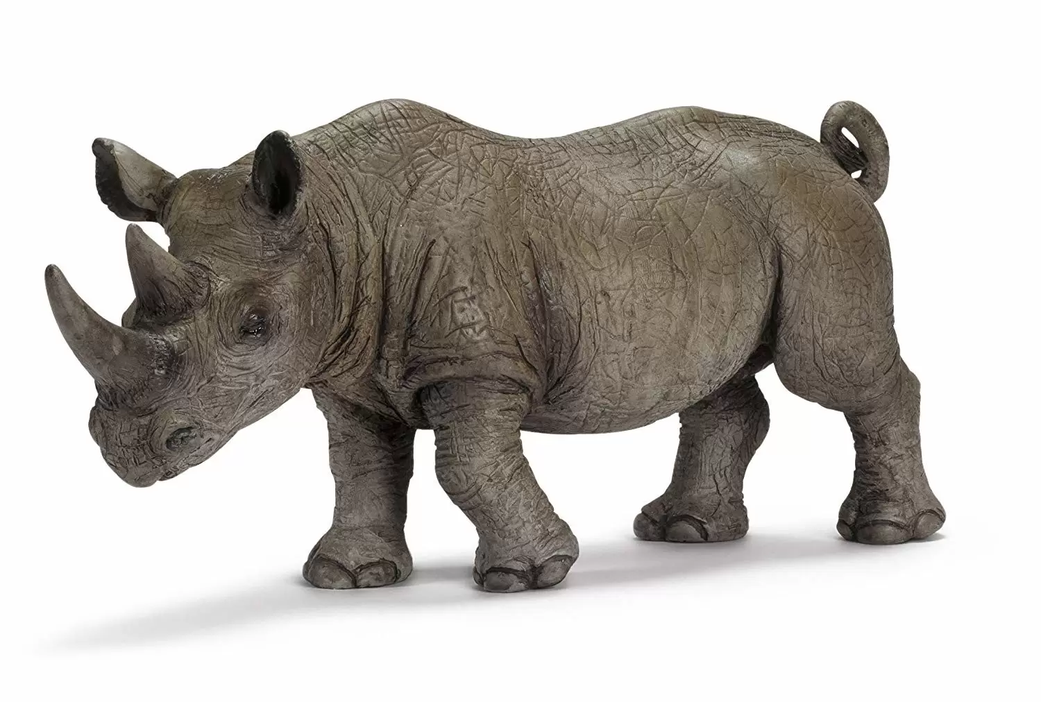 Wild Life - Rhinocéros noir mâle