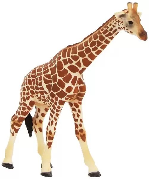 Wild Life - Girafe Femelle