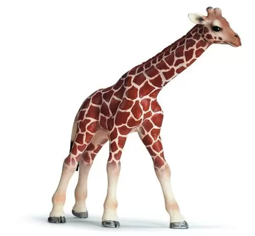 Wild Life - Bébé Girafe