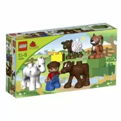 Les bébés animaux de la ferme