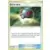 SL Trainer Kit - Lycanroc Half Deck - Great Ball