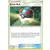 SL Trainer Kit - Lycanroc Half Deck - Great Ball