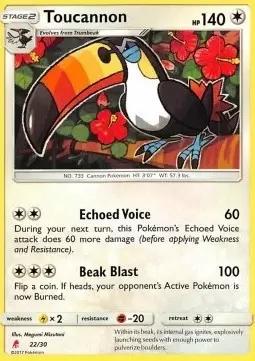 SL Trainer Kit - Lycanroc Half Deck - Toucannon