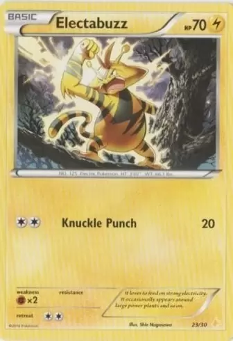 XY Trainer Kit - Pikachu Libre Half Deck - Electabuzz