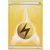 XY Trainer Kit - Pikachu Libre Half Deck - Lightning Energy