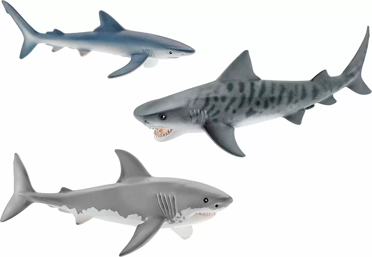 Wild Life - Trois Requins