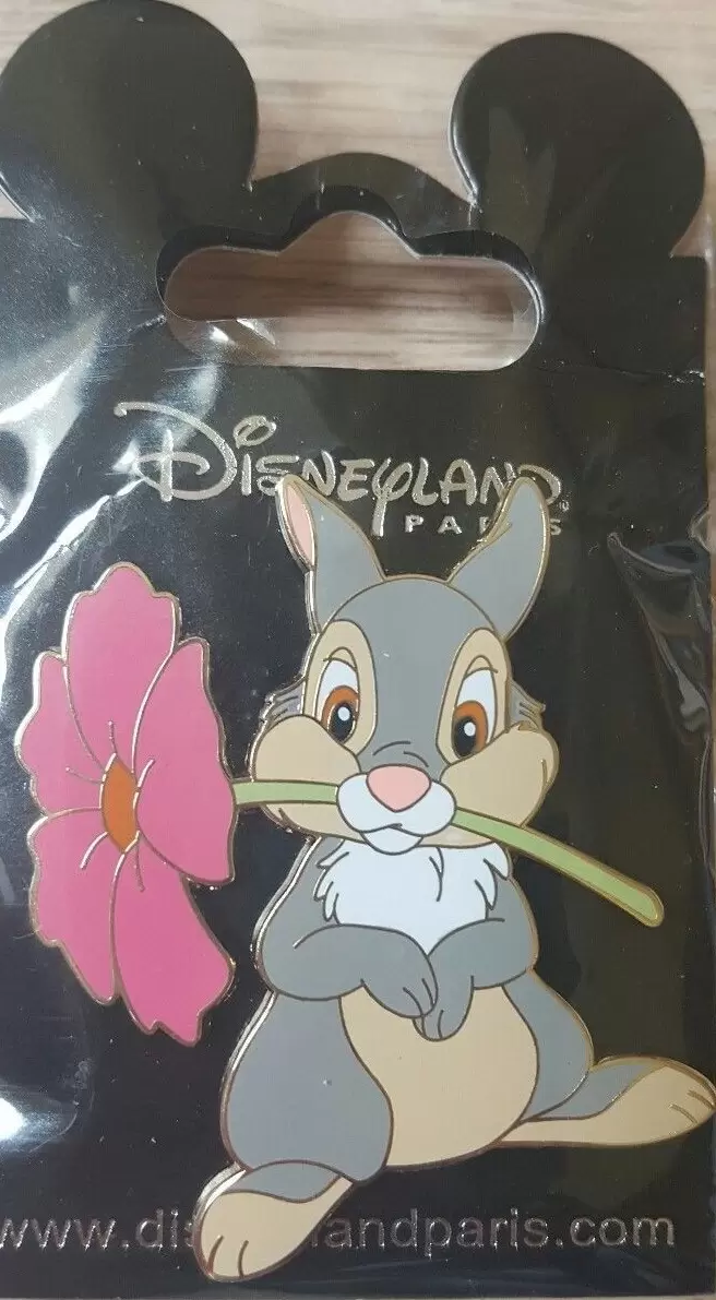 Disney - Pins Open Edition - Panpan