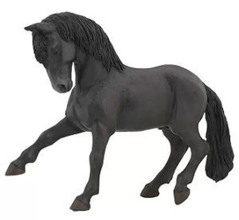 PAPO - Cheval Lusitanien noir