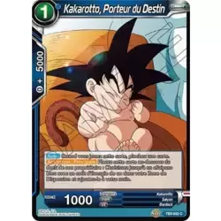 Kakarotto, Porteur du Destin