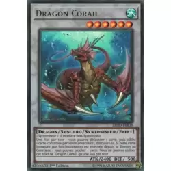 Dragon Corail