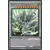 Decks du Héro Légendaire LEHD - Dragon de l\'Ascension Céleste