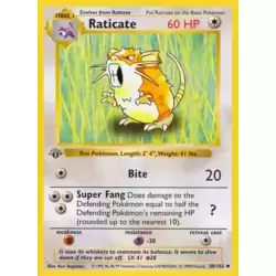 Raticate 1st Edition