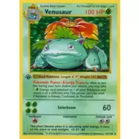 Venusaur 1st Edition Holo
