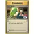 XY Promos - Gym Badge