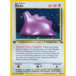 Ditto 1st Edition Holo