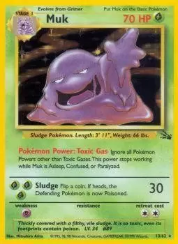 Fossil - Muk Holo