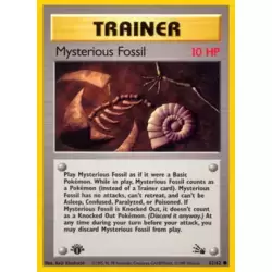 Mysterious Fossil 1st Edition