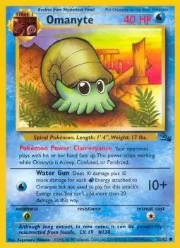 Fossil - Omanyte