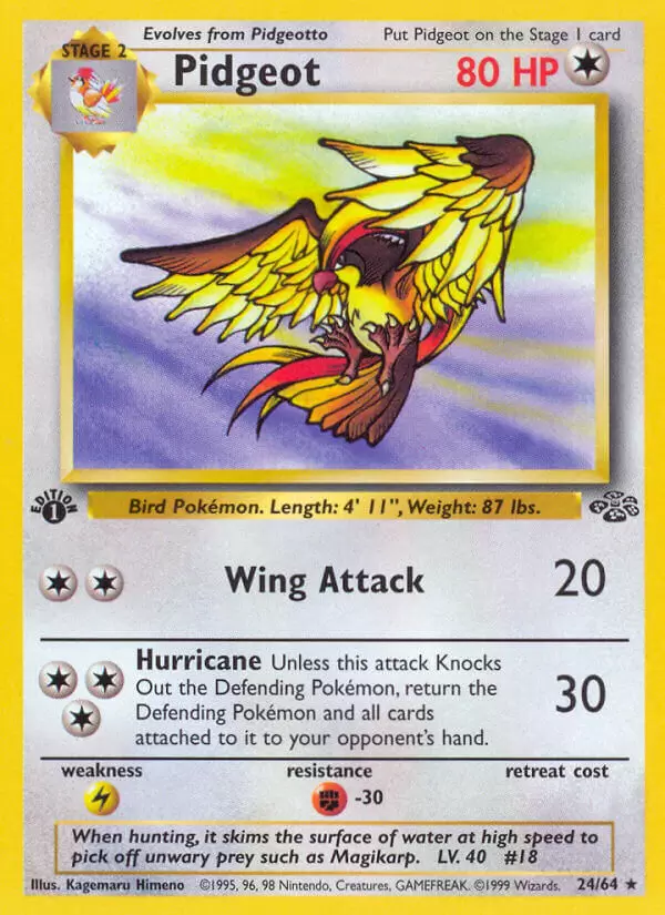 Jungle - Pidgeot 1st Edition