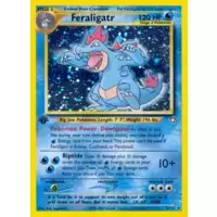Feraligatr 1st Edition Holo