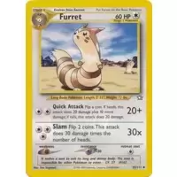 Furret