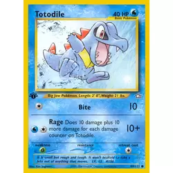 Totodile 1st Edition