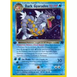 Dark Gyarados 1st Edition Holo