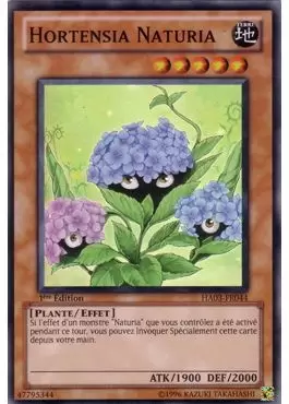 Arsenal Mystérieux 3 HA03 - Hortensia Naturia
