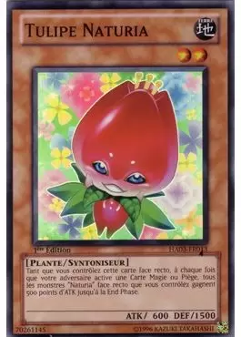Arsenal Mystérieux 3 HA03 - Tulipe Naturia