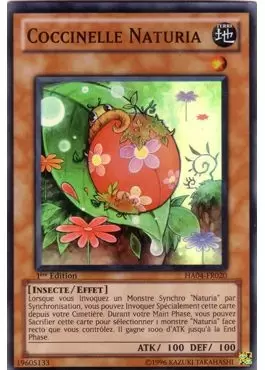 Arsenal Mystérieux 4 - Le Triomphe de Trishula HA04 - Coccinelle Naturia