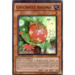 Coccinelle Naturia