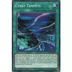 Cynet Tempête