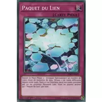 Paquet du Lien