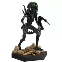 AVP Xenomorph Grid