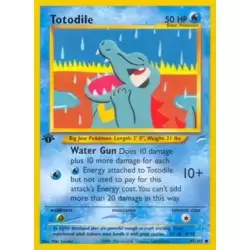 Totodile 1st Edition