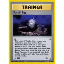 Fossil Egg 1st Edition
