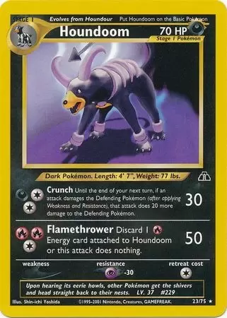 Neo Discovery - Houndoom